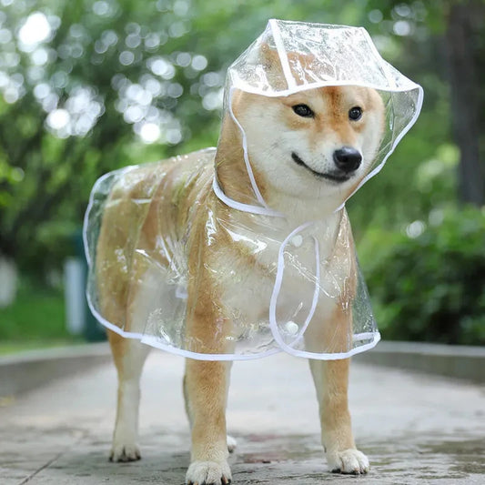 Pet Dog Transparent Raincoat